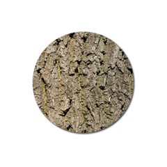 Grey Tree Bark Magnet 3  (round)