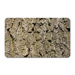 GREY TREE BARK Magnet (Rectangular)