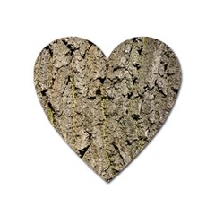 Grey Tree Bark Heart Magnet