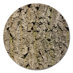 Grey Tree Bark Magnet 5  (round) by trendistuff