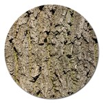 GREY TREE BARK Magnet 5  (Round)