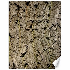 Grey Tree Bark Canvas 18  X 24   by trendistuff