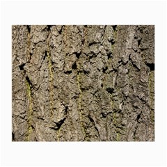 Grey Tree Bark Small Glasses Cloth (2-side) by trendistuff