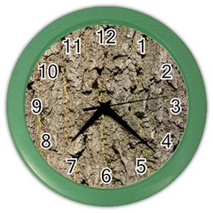 Grey Tree Bark Color Wall Clocks by trendistuff