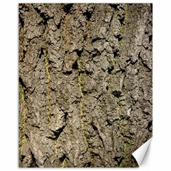 Grey Tree Bark Canvas 11  X 14  