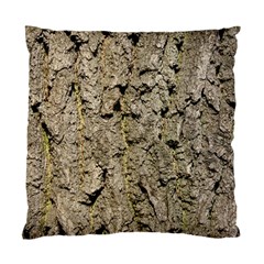 Grey Tree Bark Standard Cushion Case (one Side) 