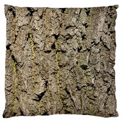 Grey Tree Bark Large Cushion Cases (two Sides)  by trendistuff