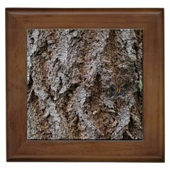 Douglas Fir Bark Framed Tiles