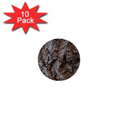 Douglas Fir Bark 1  Mini Buttons (10 Pack) 