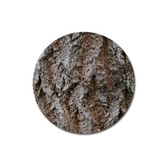 Douglas Fir Bark Magnet 3  (round) by trendistuff