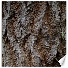 Douglas Fir Bark Canvas 16  X 16   by trendistuff