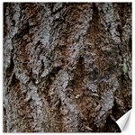 DOUGLAS FIR BARK Canvas 20  x 20   19 x19.27  Canvas - 1