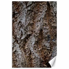 Douglas Fir Bark Canvas 24  X 36  by trendistuff