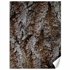 Douglas Fir Bark Canvas 36  X 48   by trendistuff