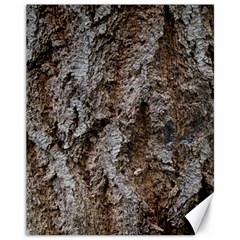 Douglas Fir Bark Canvas 11  X 14  