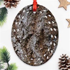 Douglas Fir Bark Oval Filigree Ornament (2-side) 