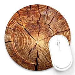 Cross Section Of An Old Tree Round Mousepads by trendistuff