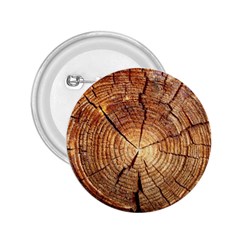 Cross Section Of An Old Tree 2 25  Buttons by trendistuff