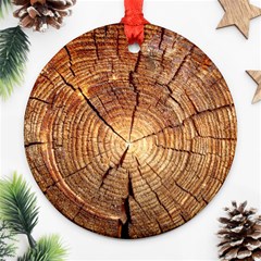 Cross Section Of An Old Tree Ornament (round) 