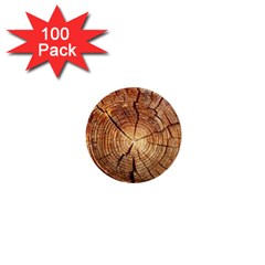 Cross Section Of An Old Tree 1  Mini Buttons (100 Pack)  by trendistuff