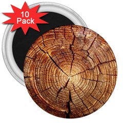 Cross Section Of An Old Tree 3  Magnets (10 Pack) 