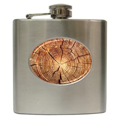 Cross Section Of An Old Tree Hip Flask (6 Oz) by trendistuff