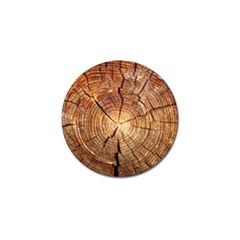 Cross Section Of An Old Tree Golf Ball Marker by trendistuff