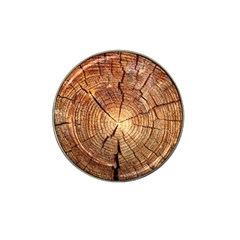 Cross Section Of An Old Tree Hat Clip Ball Marker (4 Pack)