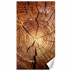 Cross Section Of An Old Tree Canvas 40  X 72  