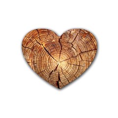 Cross Section Of An Old Tree Rubber Coaster (heart)  by trendistuff