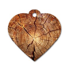 Cross Section Of An Old Tree Dog Tag Heart (one Side) by trendistuff