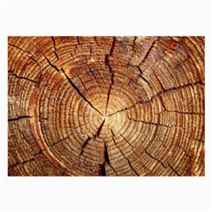 Cross Section Of An Old Tree Large Glasses Cloth (2-side) by trendistuff