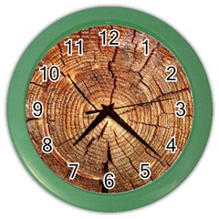 Cross Section Of An Old Tree Color Wall Clocks by trendistuff