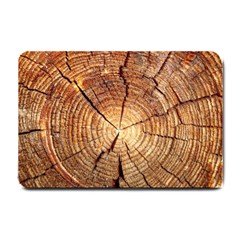 Cross Section Of An Old Tree Small Doormat  by trendistuff