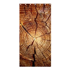 Cross Section Of An Old Tree Shower Curtain 36  X 72  (stall)  by trendistuff