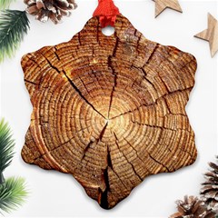 Cross Section Of An Old Tree Ornament (snowflake) 