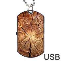 Cross Section Of An Old Tree Dog Tag Usb Flash (two Sides) 