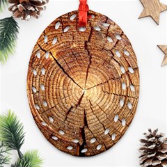 Cross Section Of An Old Tree Ornament (oval Filigree)  by trendistuff