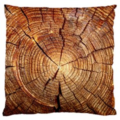 Cross Section Of An Old Tree Large Cushion Cases (one Side)  by trendistuff