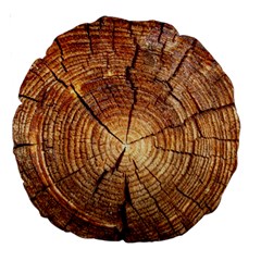 Cross Section Of An Old Tree Large 18  Premium Round Cushions