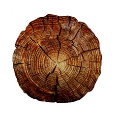 Cross Section Of An Old Tree Standard 15  Premium Flano Round Cushions