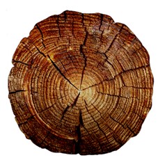 Cross Section Of An Old Tree Large 18  Premium Flano Round Cushions