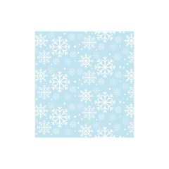 Frosty Shower Curtain 48  X 72  (small) 