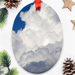 Big Fluffy Cloud Oval Ornament (two Sides) by trendistuff