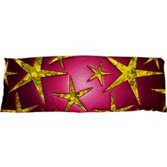 Star Burst Samsung S3350 Hardshell Case