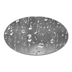 Water Drops 4 Oval Magnet by trendistuff