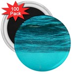 UNDERWATER WORLD 3  Magnets (100 pack)