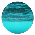 UNDERWATER WORLD Magnet 5  (Round)