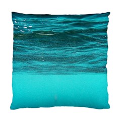 Underwater World Standard Cushion Case (one Side) 