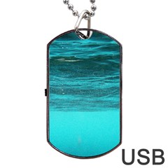 Underwater World Dog Tag Usb Flash (two Sides) 